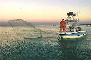 Mark Howard catching bait with a cast net