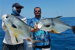 Off shore fishing in the Gulf of Mexico from Lido Beach Florida 