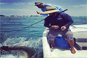 Tarpon fishing spots in Sarasota Florida