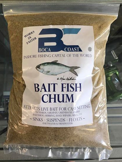 Bait Fish Chum for Cast Net Fishing Pilchards in Saltwater and
