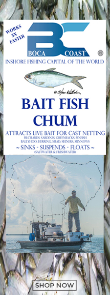 Bait fish chum to catch pilchards