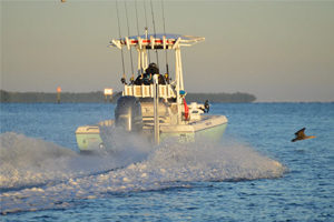 Cape Coral Redfish Charter