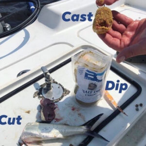 Bait Fish Chum for Cast Net Fishing Pilchards in Saltwater and Freshwater